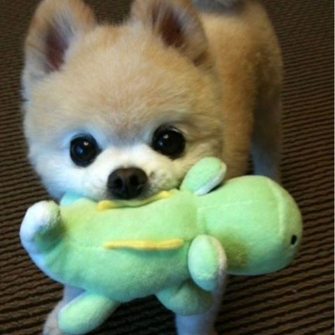 น้องโฟร์ท